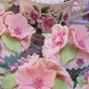 Meet your Posher, Evelyn